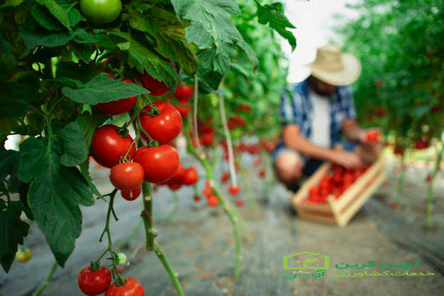 انواع روش های ابیاری