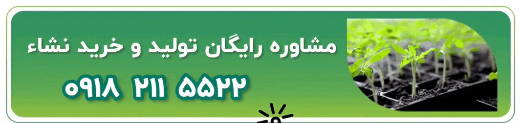 مشاوره رایگان تولید و خرید نشا