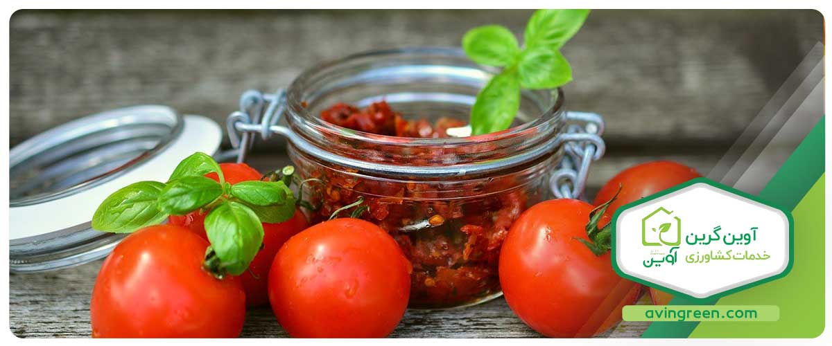روش‌های نگهداری گوجه‌ فرنگی