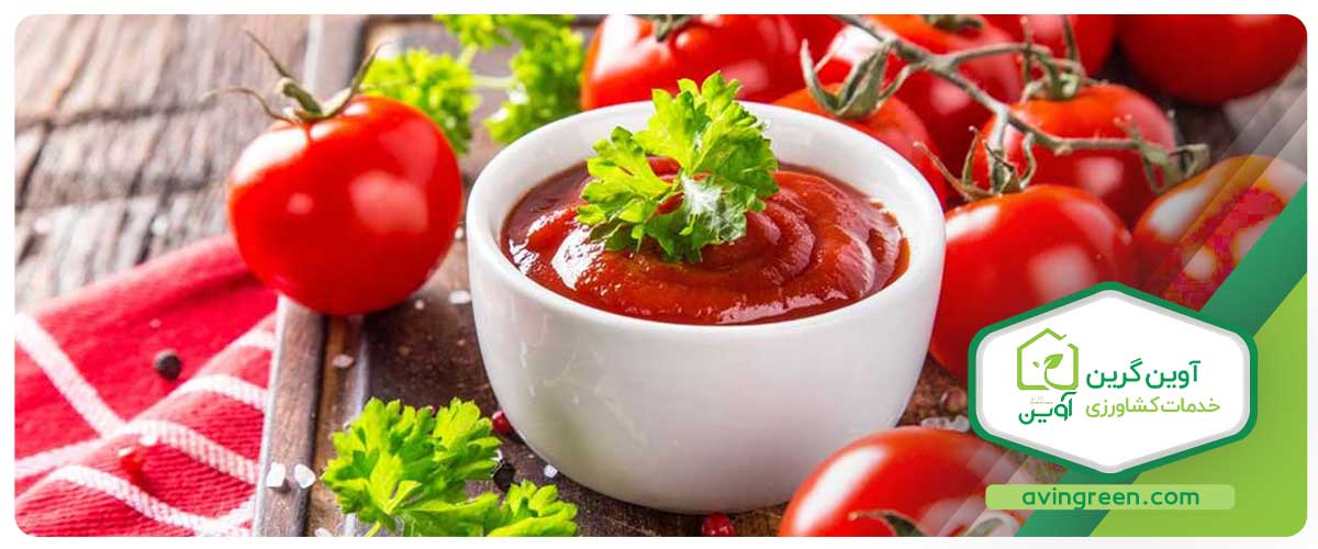 خاصیت گوجه فرنگی برای کاهش وزن