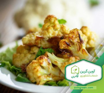 خواص گل کلم