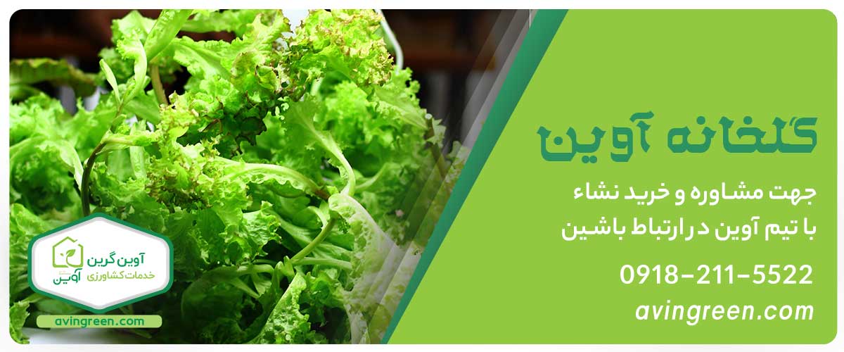 گلخانه آوین