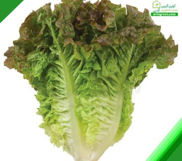 5 دلیل لکه روی برگ کاهو– 2روش سریع درمان+ کود و سم مورد نیاز