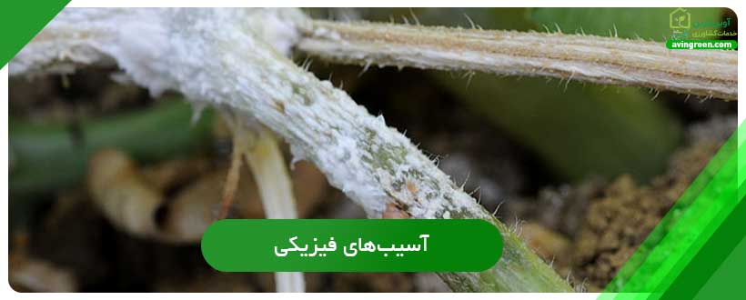 آسیب‌های فیزیکی
