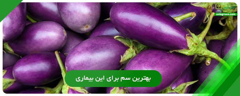 بهترین سم برای بیماری ساق سیاه بادمجان