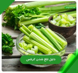 6 دلیل تلخ شدن کرفس– 3 روش سریع درمان+ کود و سم مورد نیاز