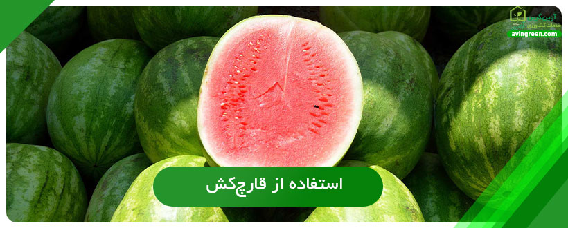 قارچ‌کش برای بیماری سفیدک سطحی هندوانه