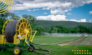 10ویژگی مهم تشخیص شیلنگ کشاورزی مرغوب! قیمت انواع شیلنگ 1402