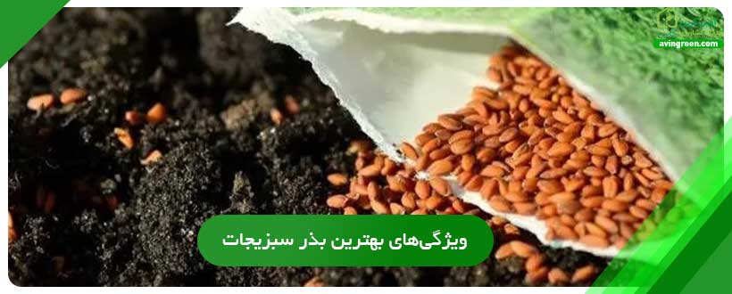 ویژگی‌های بهترین بذر سبزیجات