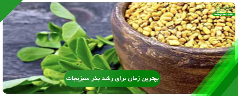 بهترین زمان برای رشد بذر سبزیجات چه فصلی است؟