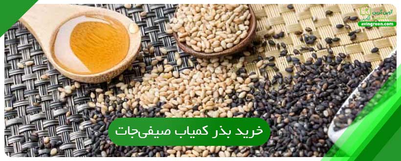 خرید بذر کمیاب صیفی‌جات