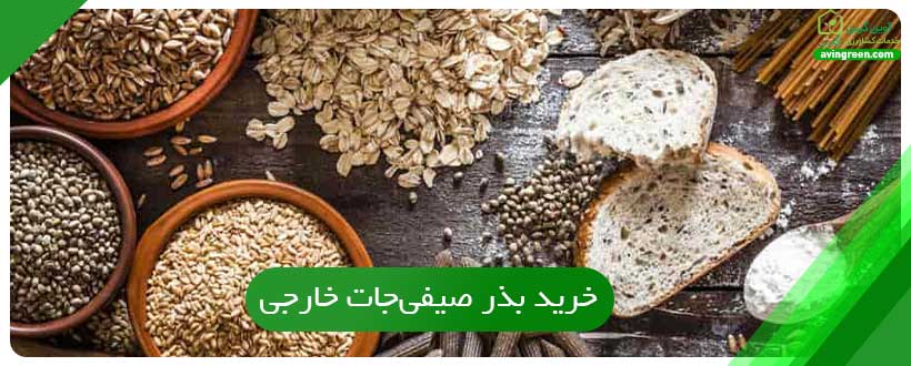 خرید بذر صیفی‌جات خارجی