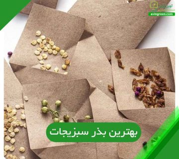 بهترین بذر سبزیجات