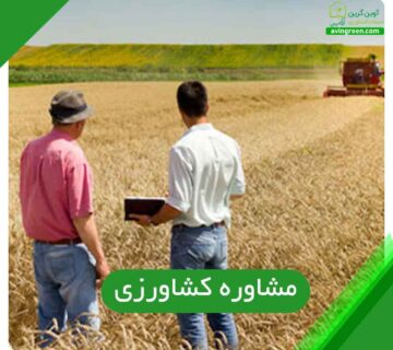 مشاوره کشاورزی