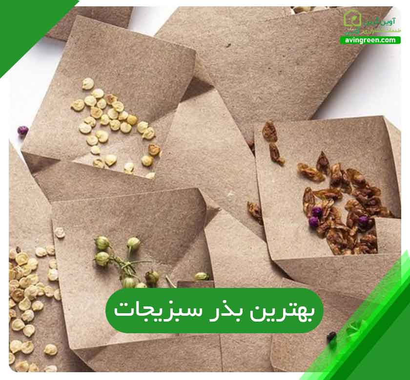 بهترین بذر سبزیجات