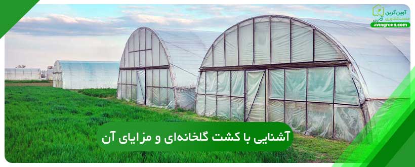 کشت گلخانه