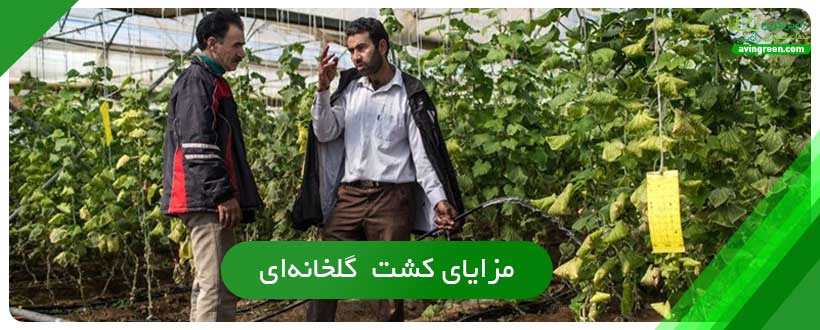 درآمد گلخانه