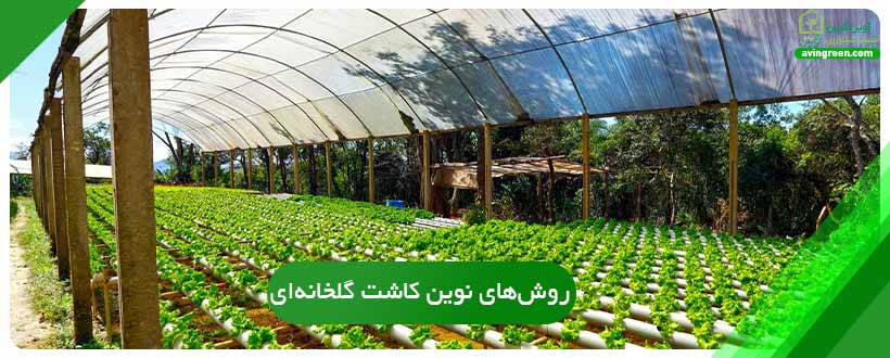 کشت گلخانه