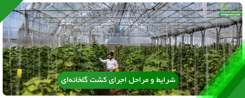 سودآورترین محصول گلخانه ای
