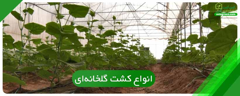 کشت گلخانه