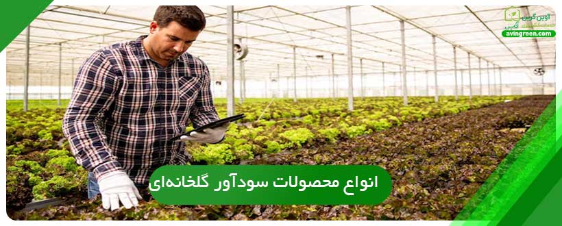 سودآورترین محصول گلخانه ای