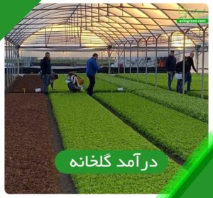درآمد گلخانه