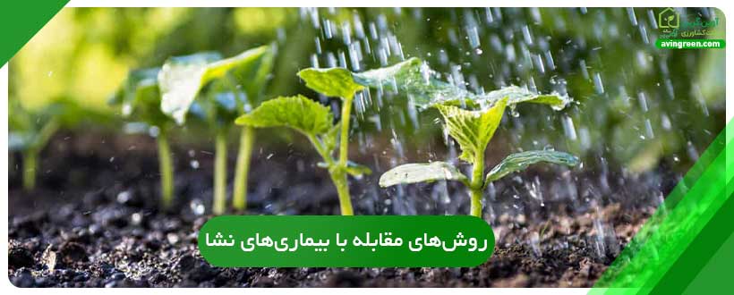 روش‌های مقابله با بیماری‌های نشا