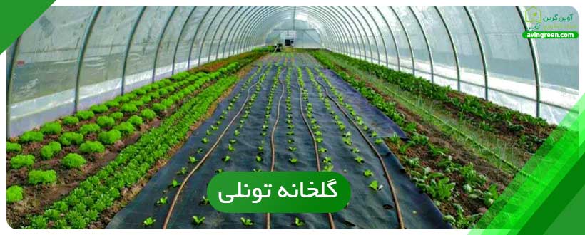 انواع سازه های گلخانه ای