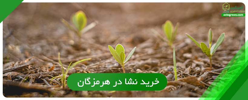 نشا چیست ؟ انواع نشاء مختلف - خرید + لیست قیمت 10 مدل نشا...