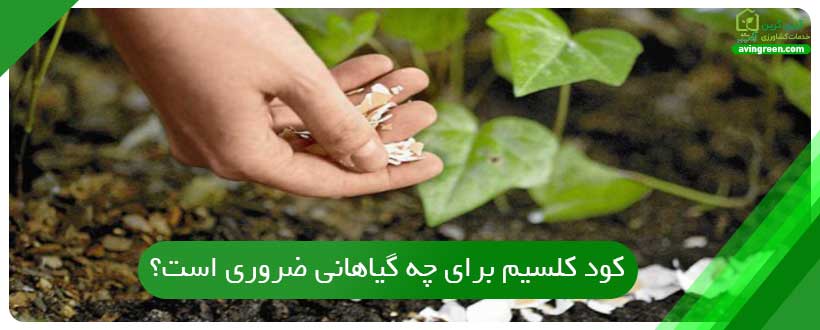 نقش کلسیم در رشد گیاه