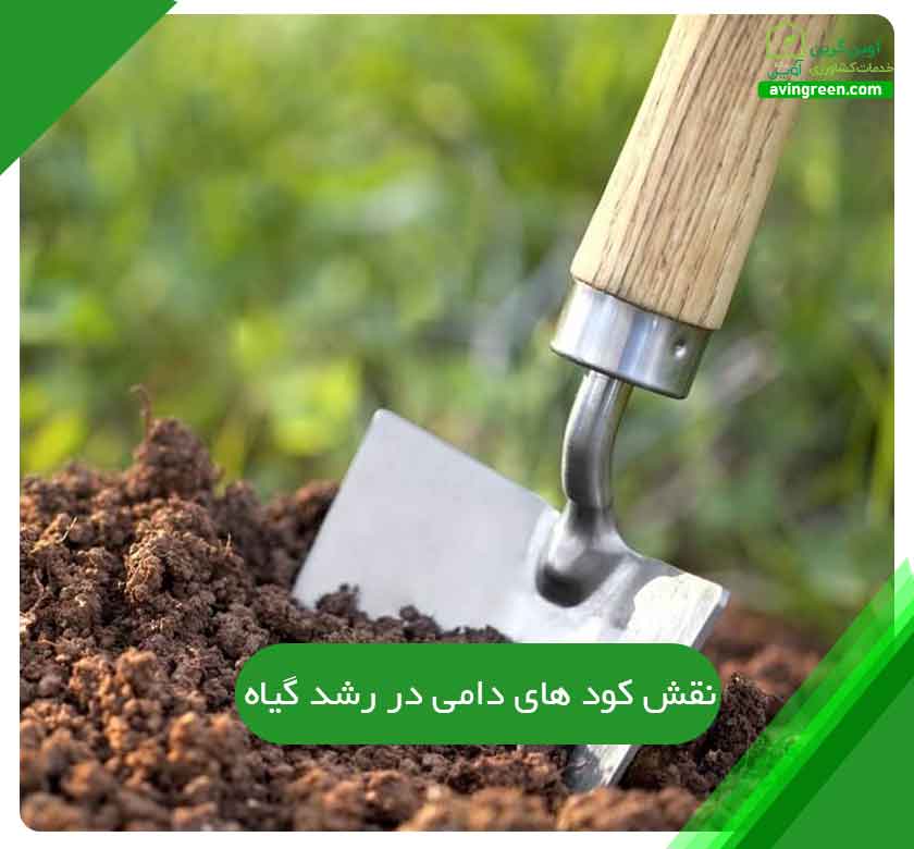 نقش کود های دامی در رشد گیاه