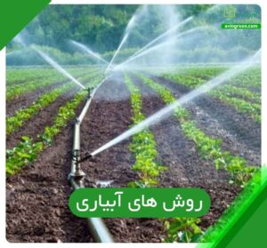 روش های آبیاری