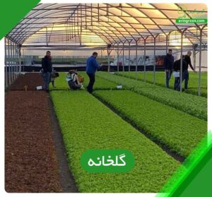 گلخانه