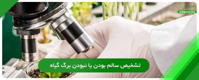 مشاوره گیاه پزشکی