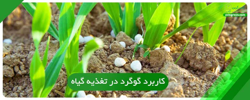 کاربرد گوگرد در تغذیه گیاه