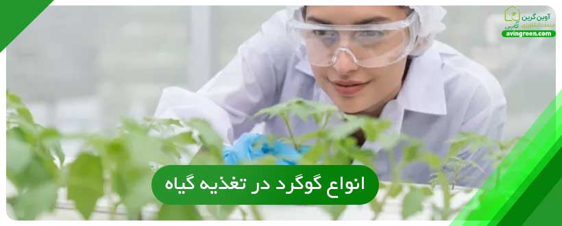 انواع گوگرد در تغذیه گیاه