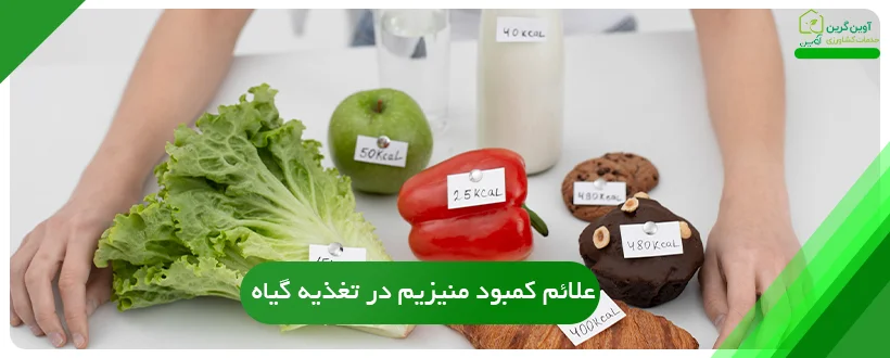 علائم کمبود منیزیم در تغذیه گیاه