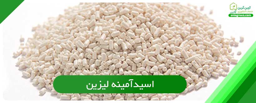 اسیدآمینه لیزین