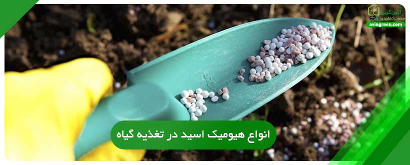 کاربرد هیومیک اسید در تغذیه گیاه