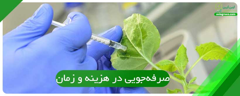 مشاوره گیاه پزشکی