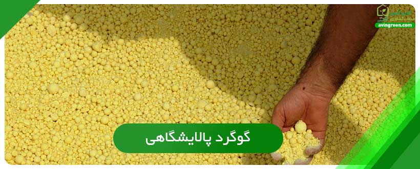 گوگرد پالایشگاهی
