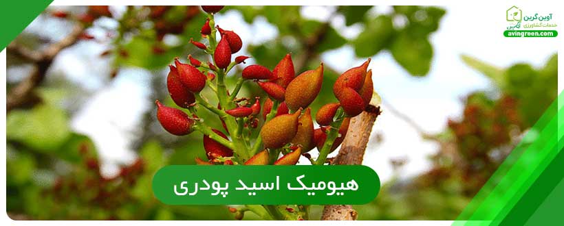 هیومیک اسید پودری