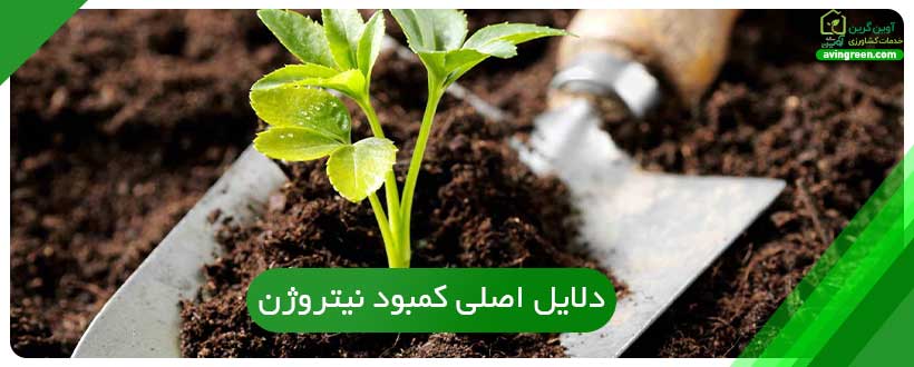 دلایل اصلی کمبود نیتروژن