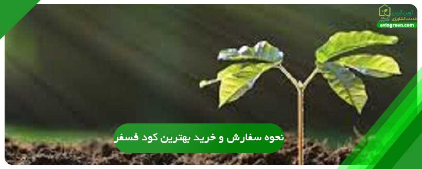 نحوه سفارش و خرید بهترین کود فسفر