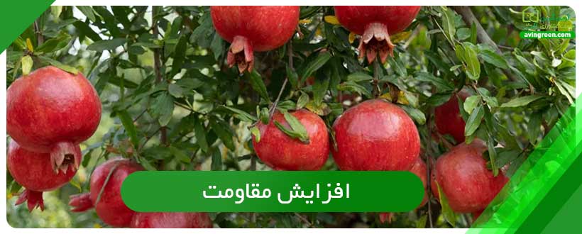 افزایش مقاومت