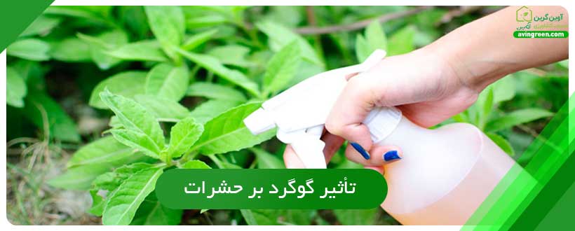 تأثیر گوگرد بر حشرات