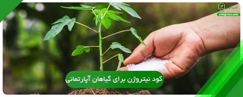 کود نیتروژن برای گیاهان آپارتمانی