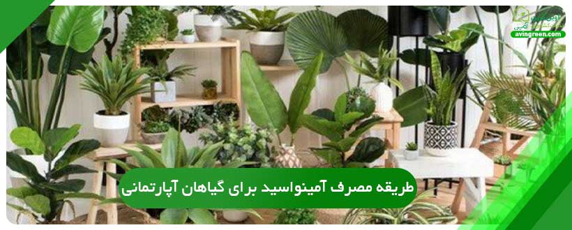 طریقه مصرف آمینواسید برای گیاهان آپارتمانی