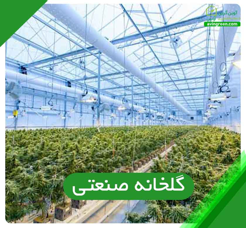 گلخانه صنعتی