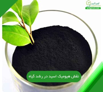 نقش هیومیک اسید در رشد گیاه